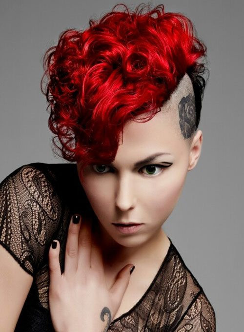 Punk Girl Hairstyle
 Punk Hairstyles for Curly Hair