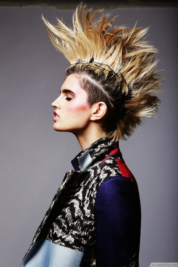 Punk Girl Hairstyle
 56 Punk Hairstyles to Help You Stand Out From the Crowd