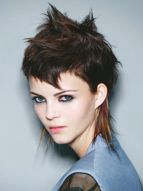 Punk Girl Hairstyle
 Short Punk Hairstyles for Teenagers Stephig