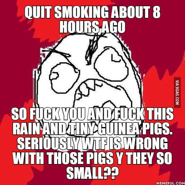 Quit Smoking Quotes Funny
 JoyReactor funny pictures & best jokes ics images