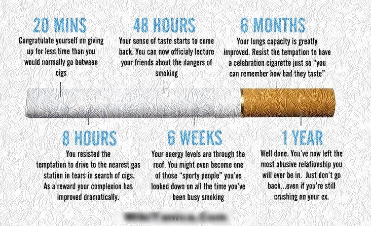 Quit Smoking Quotes Funny
 Motivational Quotes to Help Quit Smoking Shainginfoz