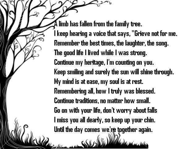 Quote About Losing A Family Member
 Loss of Family member Grief Loss Death RIP