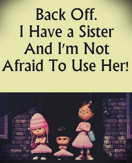 Quote About Siblings Funny
 31 Funny Sister Quotes and Sayings with Good