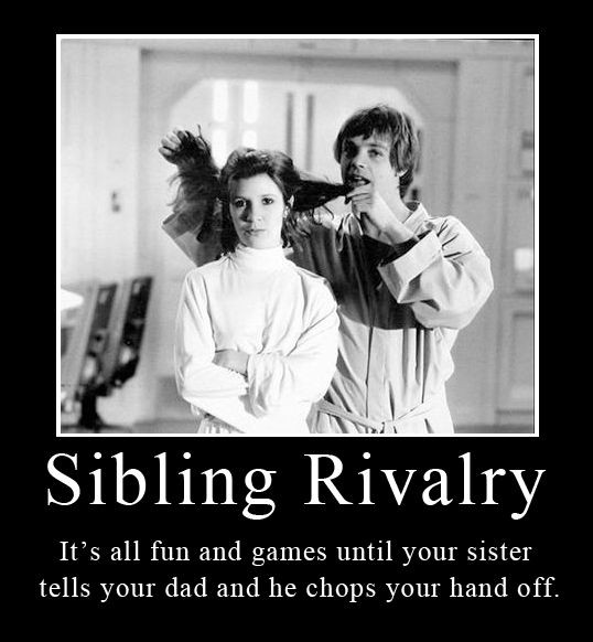 Quote About Siblings Funny
 Funny Quotes About Sibling Rivalry QuotesGram