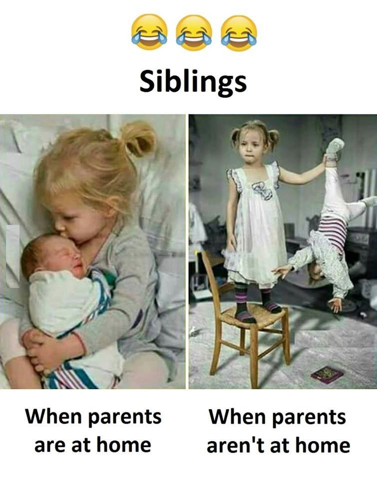 Quote About Siblings Funny
 Siblings FUNNY PICTURES