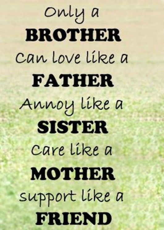 Quote About Siblings Funny
 The 100 Greatest Brother Quotes And Sibling Sayings