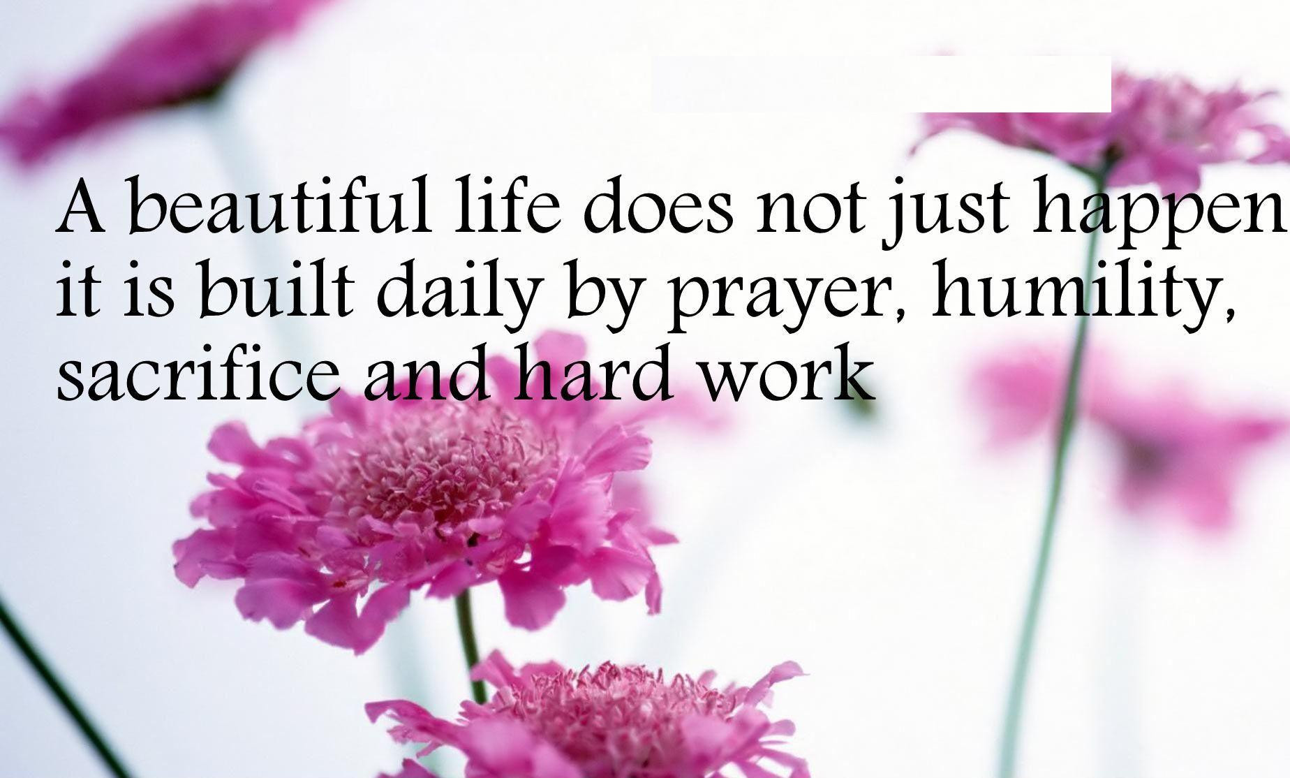 Quote On Beauty Of Life
 life is beautiful