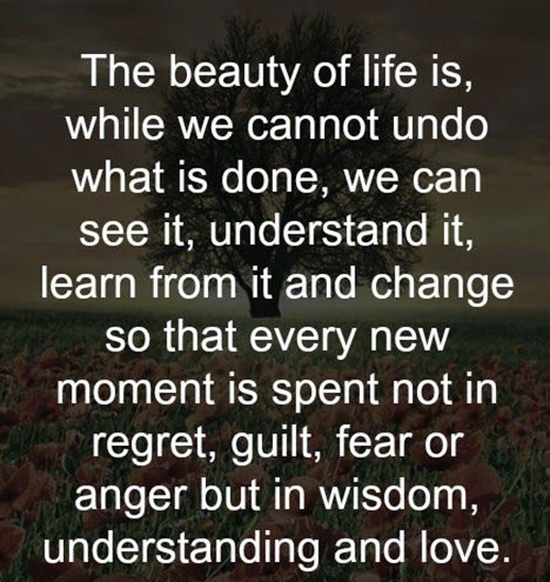 Quote On Beauty Of Life
 50 Beautiful Quotes & Sayings About Life With