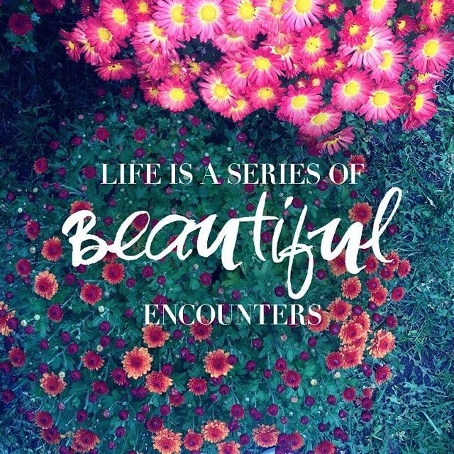 Quote On Beauty Of Life
 life is a series of beautiful encounters
