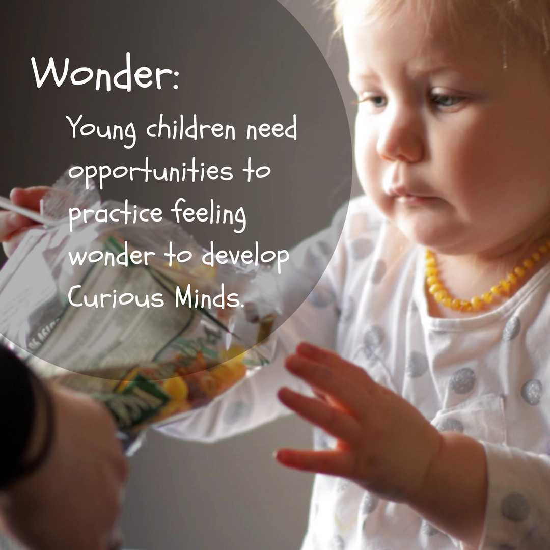 Quote On Child Development
 let children wonder child development quotes kids