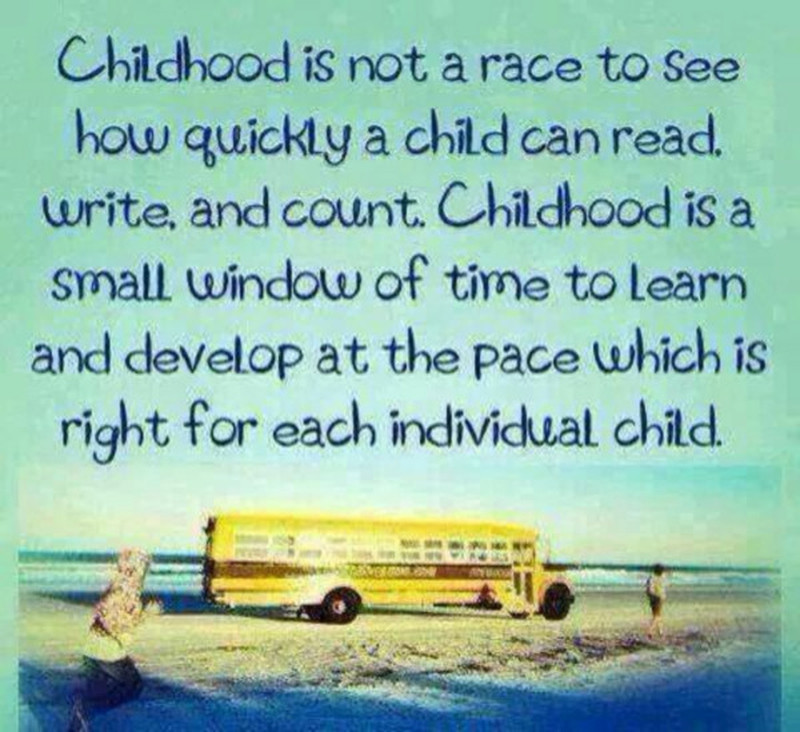 Quote On Child Development
 Teaching Children Early Childhood Theorist Quotes