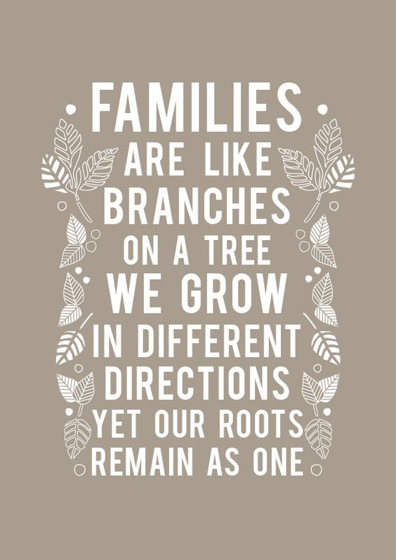 Quote On Family
 Top 25 Family Quotes and Sayings 3 Family quotes Sayings
