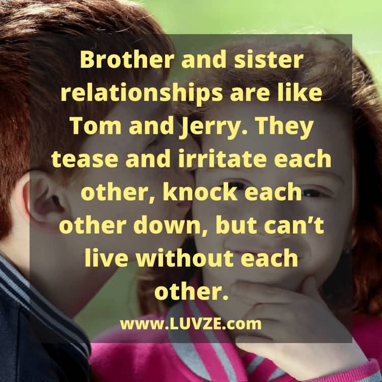 Quotes About Brother And Sister Relationship
 33 Brother Quotes & Popular Sayings