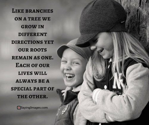 Quotes About Brother And Sister Relationship
 40 Wonderful Siblings Quotes That Will Make You Feel Extra