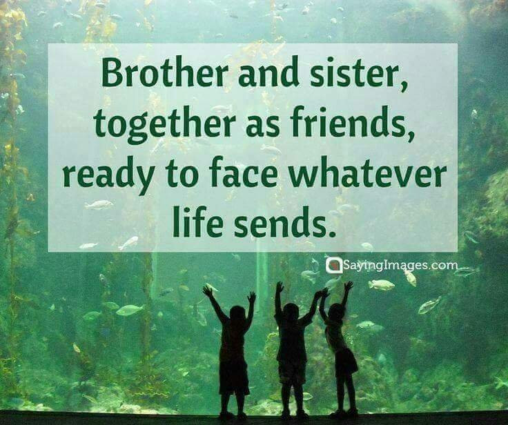 Quotes About Brother And Sister Relationship
 Ready to face whatever life sends