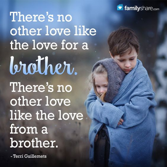 Quotes About Brother And Sister Relationship
 Top 29 Cute Brother Quotes from Sister – Life Quotes & Humor