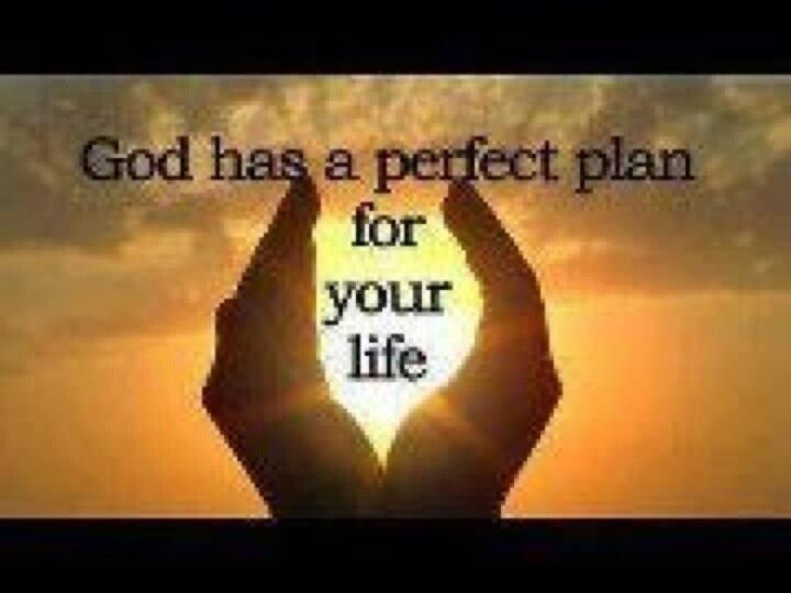Quotes About God'S Plan For Your Life
 LOVE IS