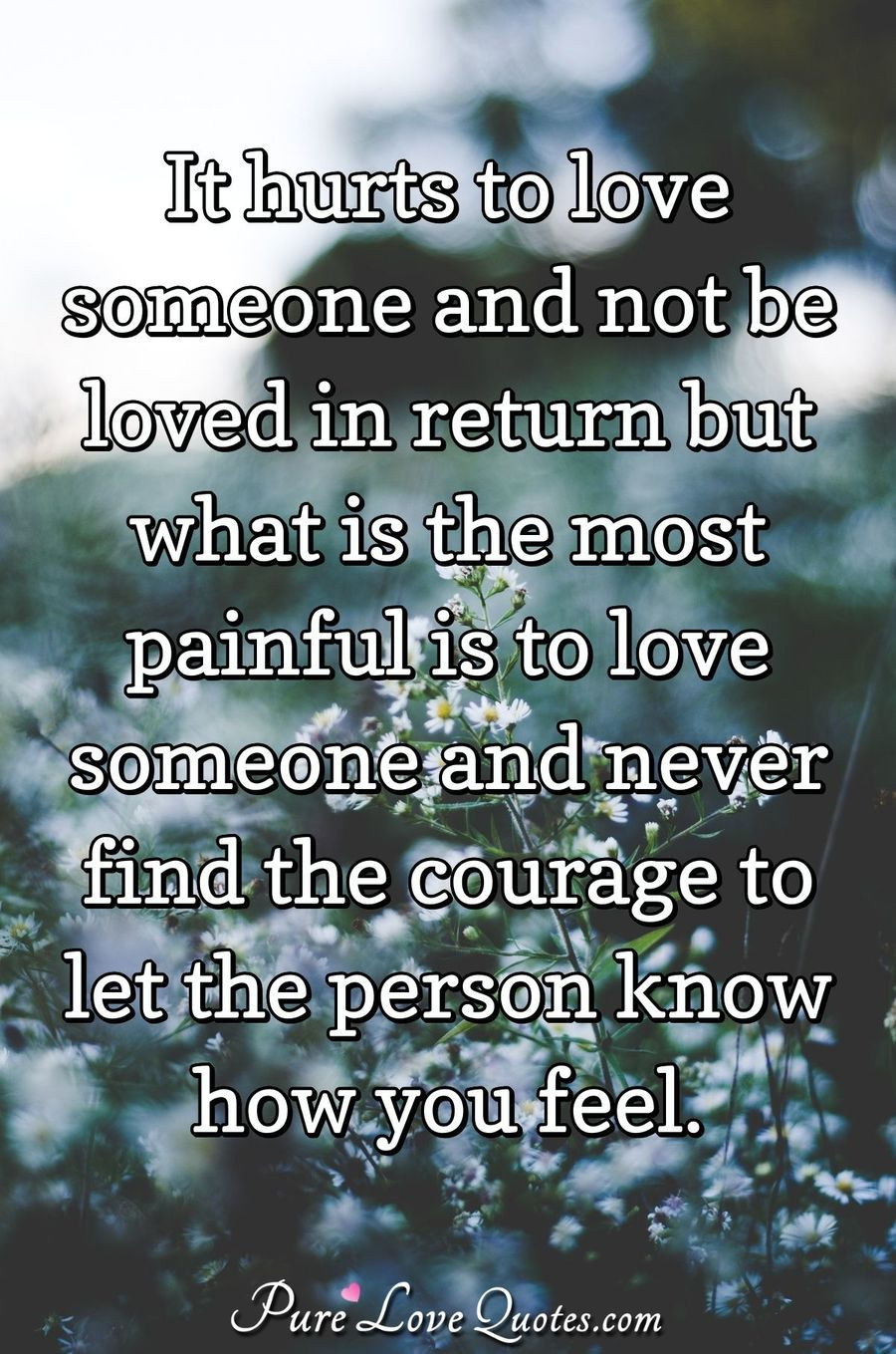 Quotes About Pain And Love
 It hurts to love someone and not be loved in return but