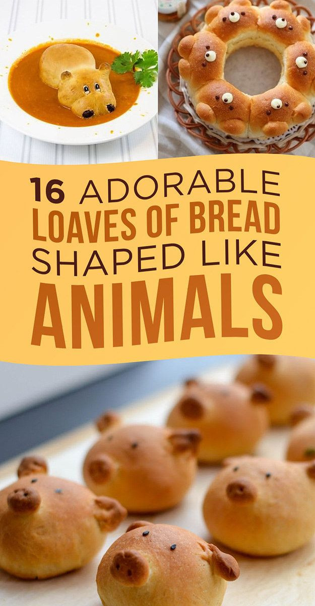 Recipes Kids Will Like
 16 Adorable Animal Shaped Bread Recipes For Kids