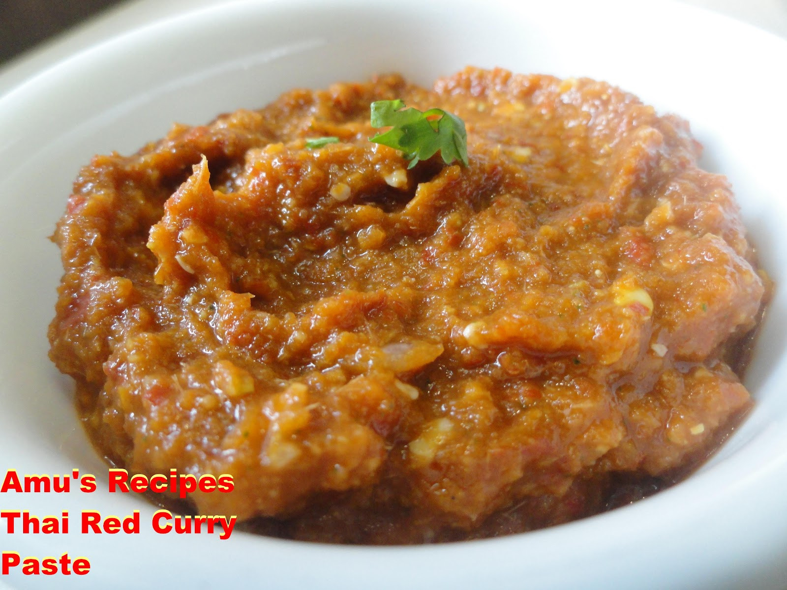 Red Thai Curry Paste Recipes
 AMU S RECIPES Thai Red Curry Paste