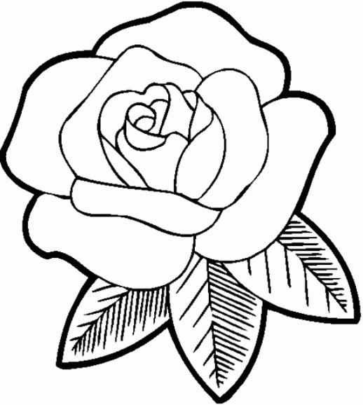 Rose Coloring Pages For Girls
 Rose Coloring Pages For Girls Flowers