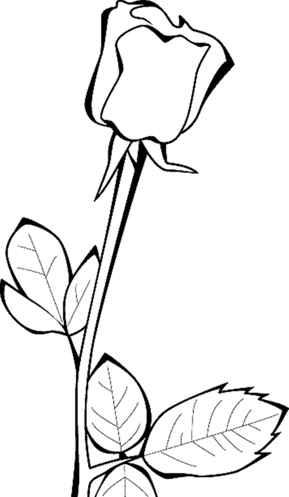 Rose Coloring Pages For Girls
 Rose Coloring Pages For Girls Flowers Flower Coloring