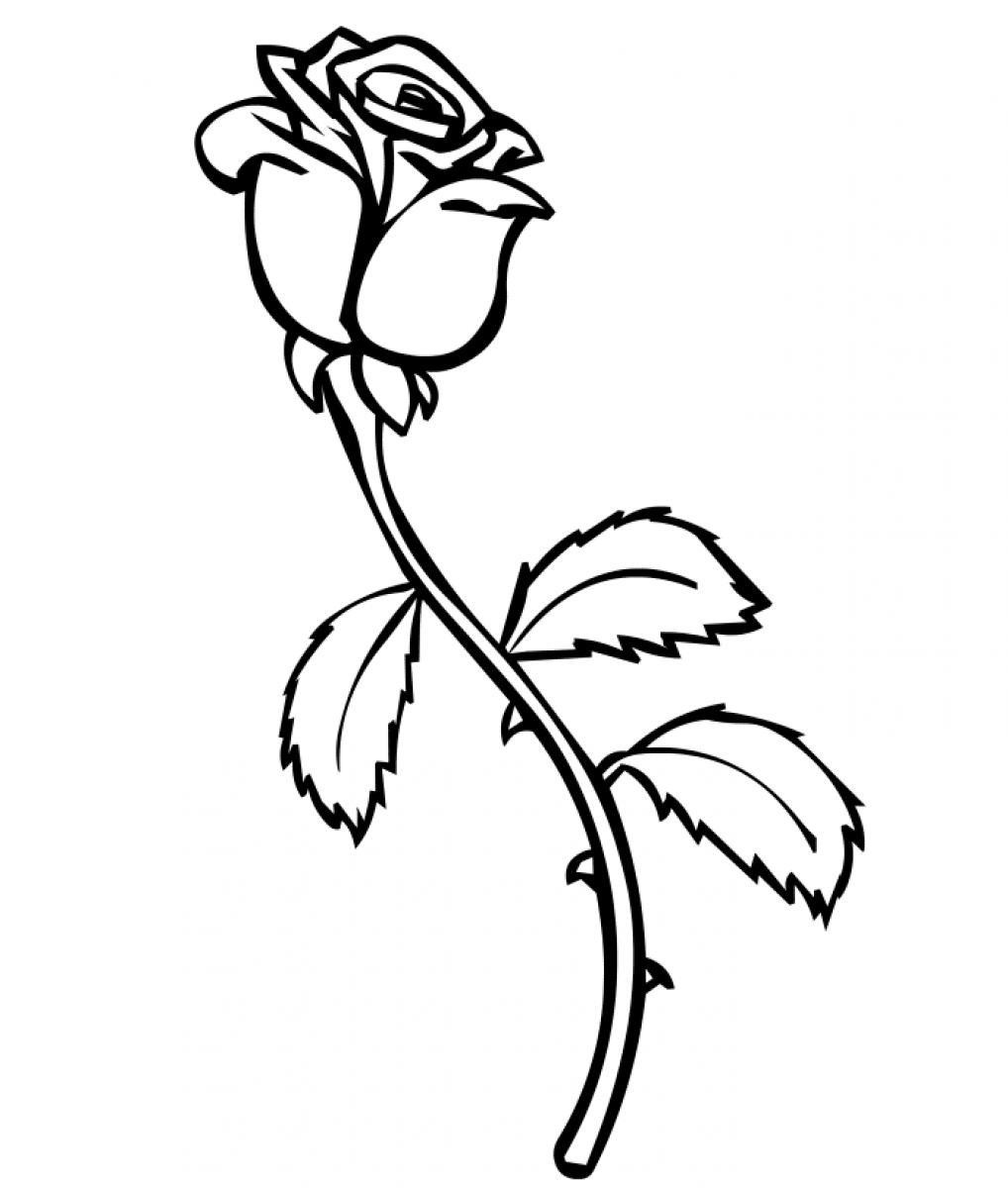 Rose Coloring Pages For Kids
 Free Printable Roses Coloring Pages For Kids