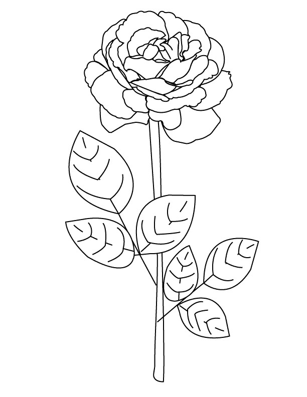 25 Best Rose Coloring Pages for Kids - Home, Family, Style and Art Ideas
