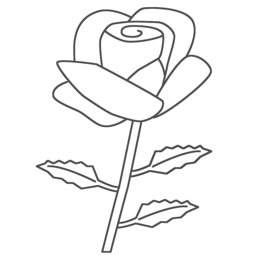 Rose Coloring Pages For Kids
 Free Printable Roses Coloring Pages For Kids