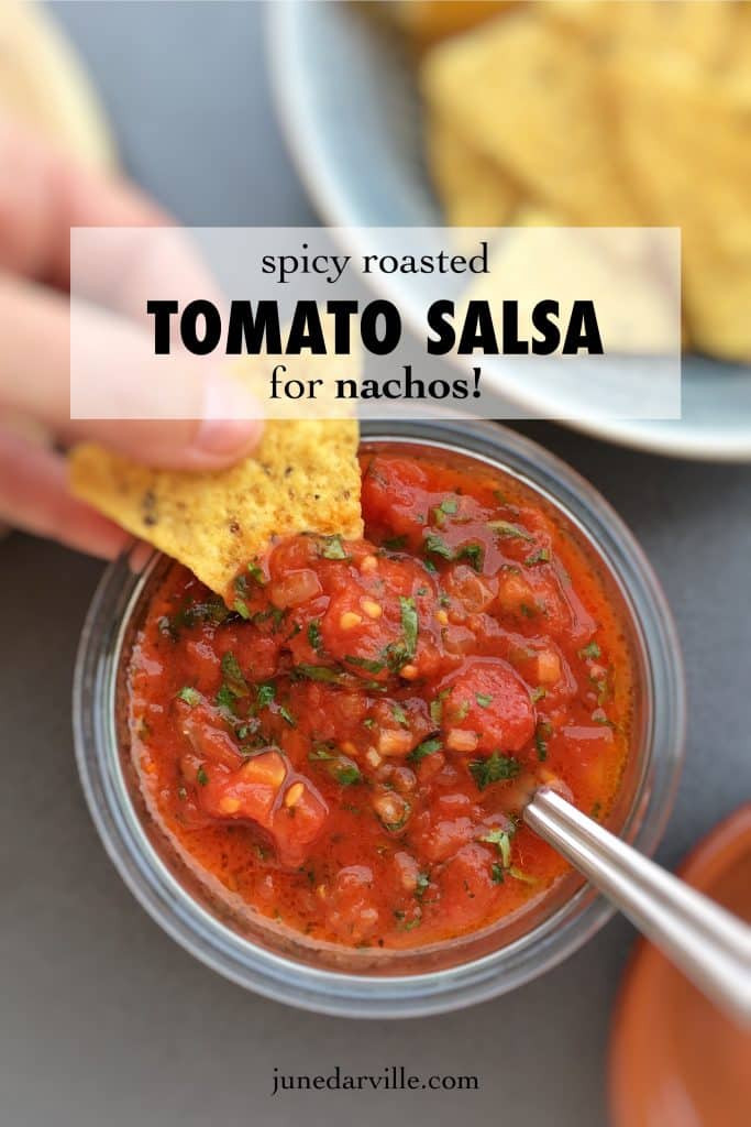 Salsa Sauces Recipes
 Spicy Roasted Tomato Salsa Recipe