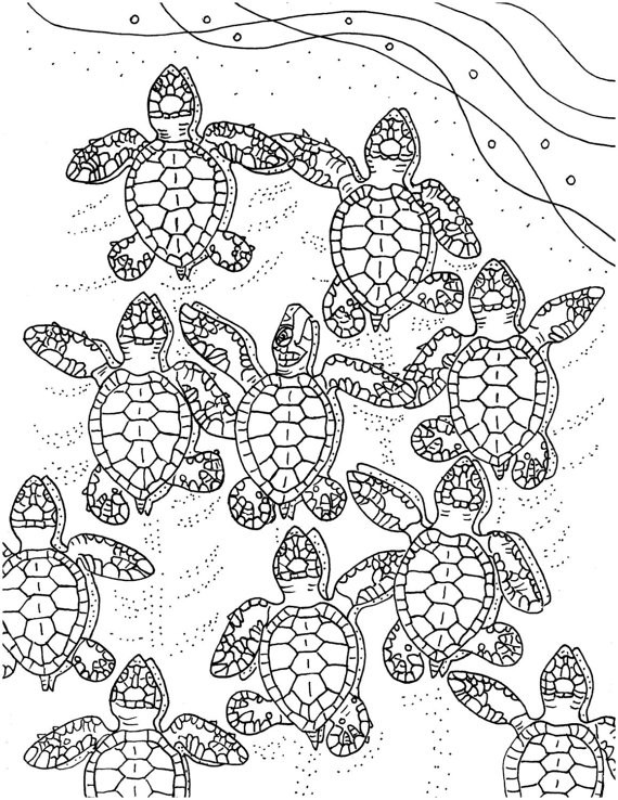 Sea Turtle Coloring Pages Printable
 Baby Sea Turtles coloring page embroidery pattern sea