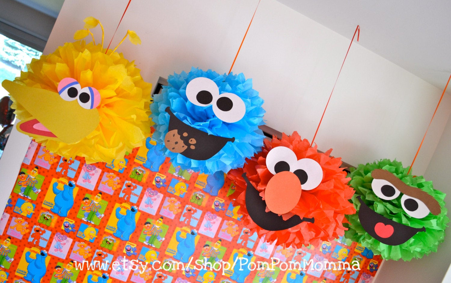 Sesame Street DIY Decorations
 DIY Sesame Street Inspired Pom Materials Kit