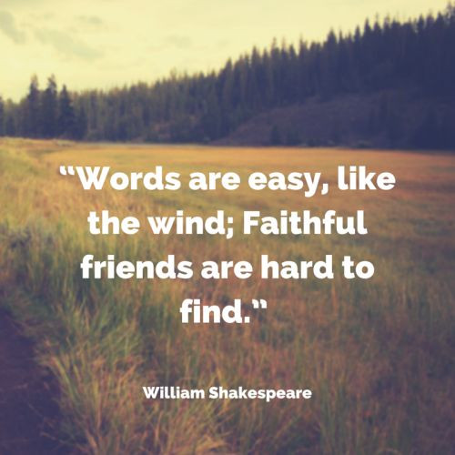 Shakespeare Quotes Friendship
 Friendship ♡♡ a collection of ideas to try about Other