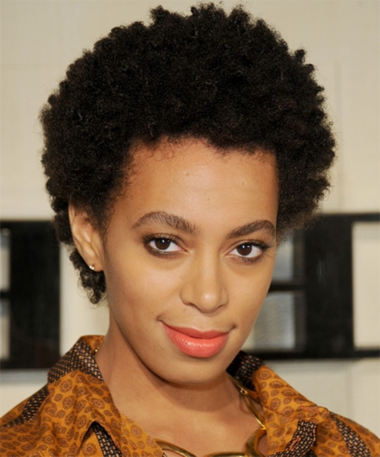 Short African American Natural Hairstyles
 Top 10 African American Curly Hairstyles To Get You
