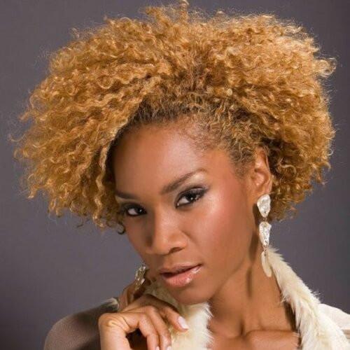 Short Blonde Hairstyles On Black Women
 50 Short Hairstyles for Black Women Splendid Ideas for