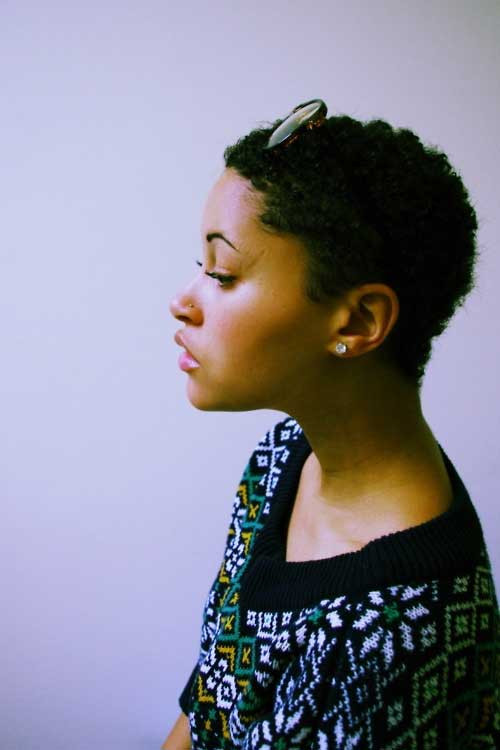 Short Hairstyles For Black Females
 15 Best Short Natural Hairstyles for Black Women