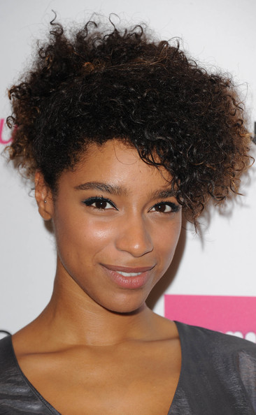 Short Hairstyles For Black Females
 2014 Natural Hairstyles for Black Women – The Style News