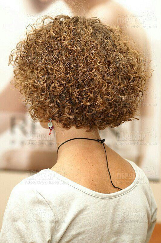 Short Spiral Curly Hairstyles
 Love the spiral curls on short hair Hairstyles