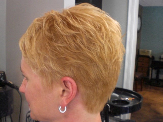 Short Tapered Haircuts Back View
 short tapered hairstyles back view Hairstyles By Unixcode
