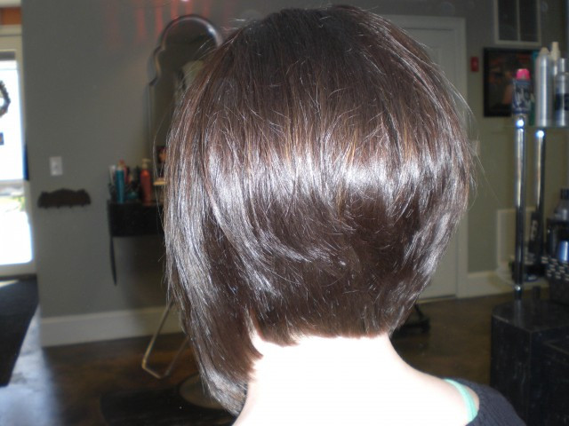 Short Tapered Haircuts Back View
 Short Tapered Haircuts Back View