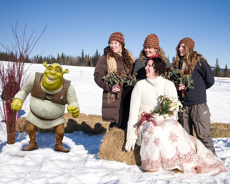Shrek Themed Wedding
 Shrek wedding Shrek Wedding