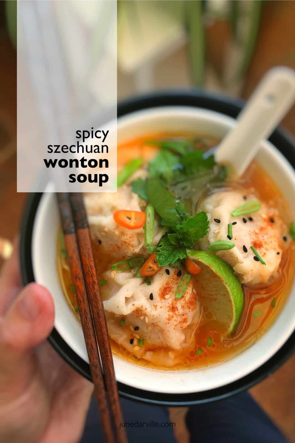 Shrimp Wonton Soup Recipes
 Shrimp Wonton Soup Szechuan