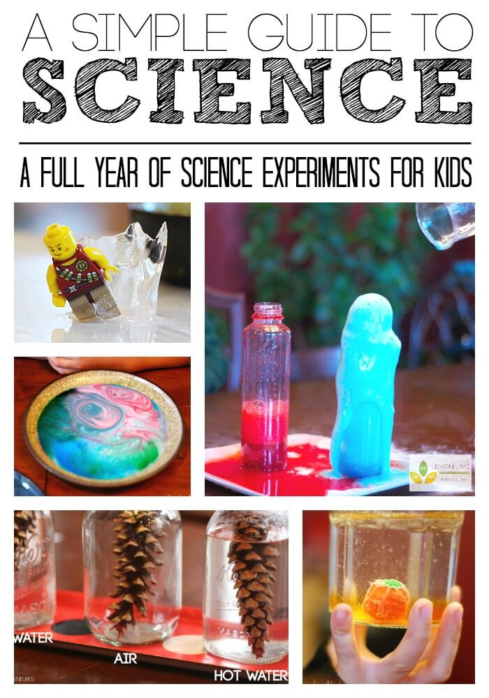Simple Projects For Kids
 Best Science Experiments for Kids