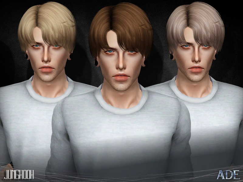 Sims 3 Male Hairstyles
 Ade Darma s Ade Jungkook