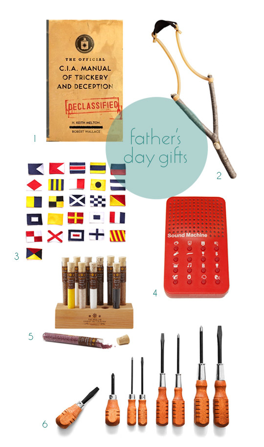Small Fathers Day Gift Ideas
 Father’s Day Gift Ideas – Top Modern Dad Gifts – Father’s