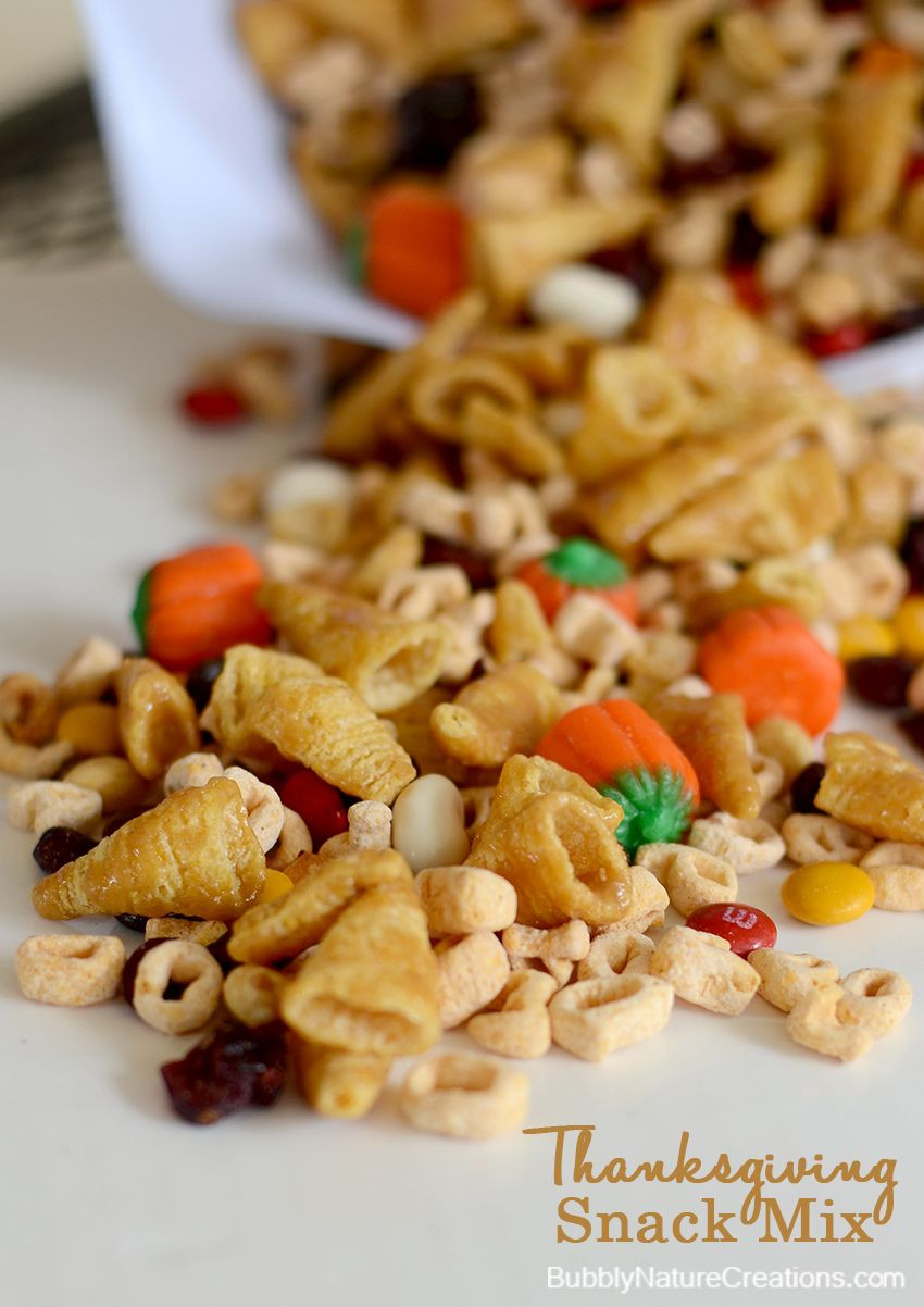 Snack Mix Recipes For Kids
 Thanksgiving Fall Snack Mix Recipe