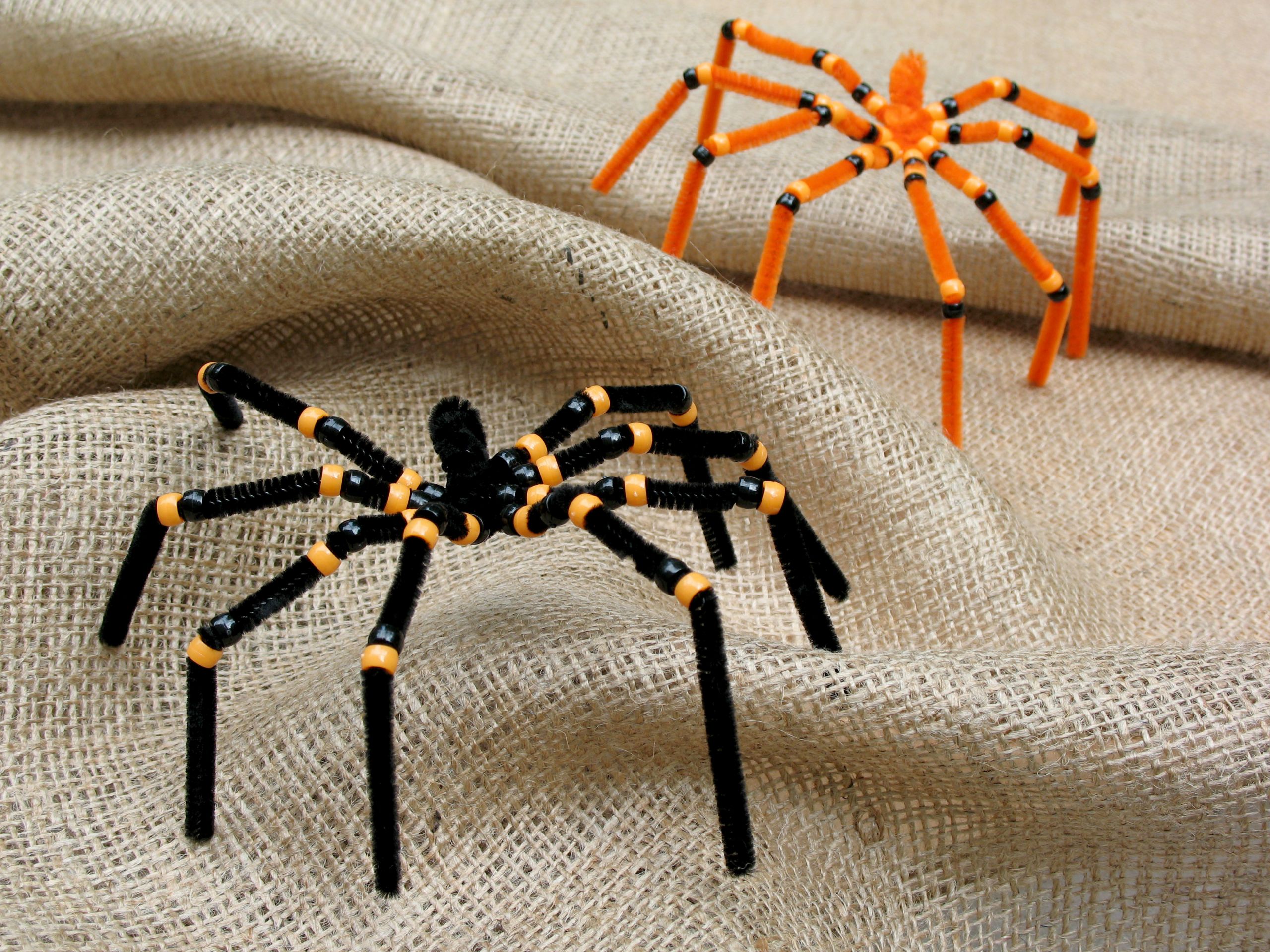 Spider Craft For Kids
 Preschool Crafts for Kids Halloween Spider Pipe Cleaner