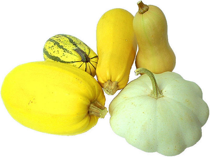 Squash Fruit Or Vegetable
 Squashes Fruits And Ve ables