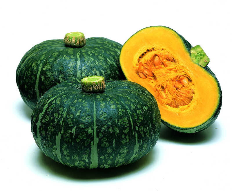 Squash Fruit Or Vegetable
 20 Top Notch Squash Varieties [Slideshow] Growing Produce