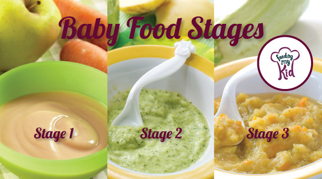 Stage 3 Baby Food Recipes
 Differences in Baby Food Stages and Puree Texture